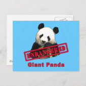 ENDANGERED Giant Panda Postkarte (Vorne/Hinten)