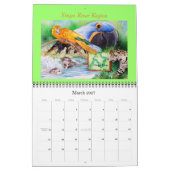 "ENDANGERED Species of Brazil" 2021 Kalender (Mär 2027)