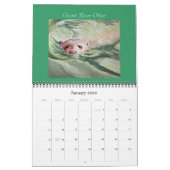 "ENDANGERED Species of Brazil" 2021 Kalender (Jan 2026)