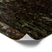 Ende des Herbstes auf dem Feeder Canal Trail Poste Poster (Ecke)