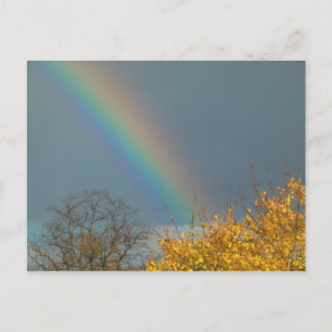 Ende des Regenbogens Postkarte