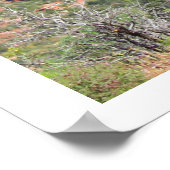Ende des Trail in Sedona Poster (Ecke)