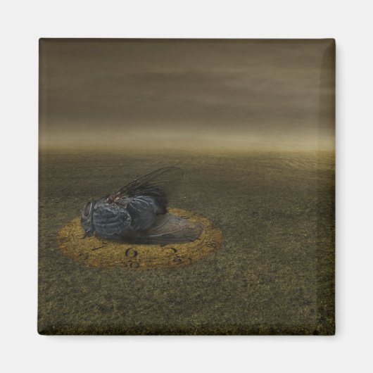 Ende eines Ziels 2013 Magnet (Vorne)
