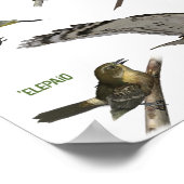 Endemische Vögel auf Hawai'i Poster (Ecke)