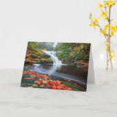 Enders Fälle in Fall Karte (Gelbe Blume)