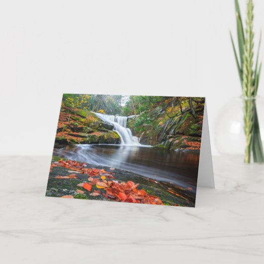 Enders Fälle in Fall Karte (Vorderseite)