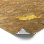 Endless Canyon Poster (Ecke)