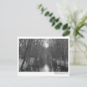 Endless River Postcard Postkarte (Stehend Vorderseite)