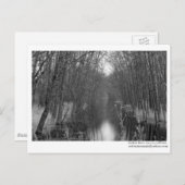 Endless River Postcard Postkarte (Vorne/Hinten)