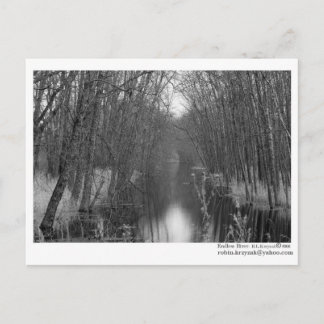 Endless River Postcard Postkarte