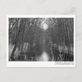 Endless River Postcard Postkarte (Vorderseite)