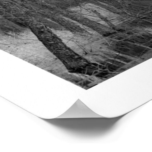 Endless River Poster (Ecke)