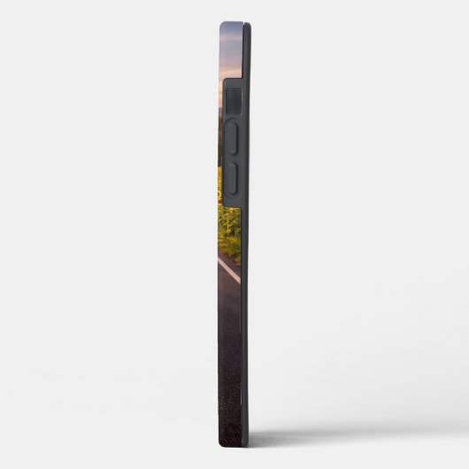 Endless Road Through Desert Landscape Phone Case (Rückseite / Links)