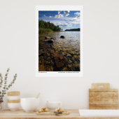 Endless summer poster (Küche)