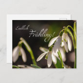 Endlich Frühling! Postkarte (Vorne/Hinten)