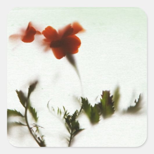 Endlich Frühling! Quadratischer Aufkleber (Vorderseite)