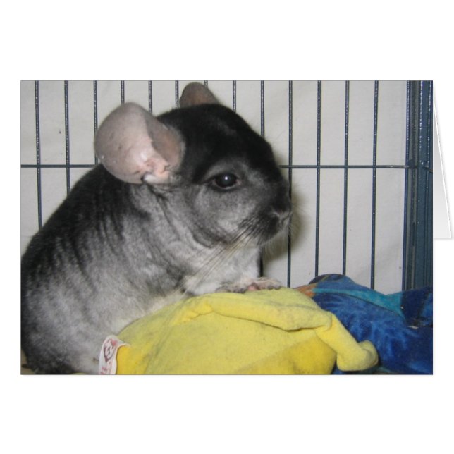 Endlich Zuhause Card, Wubbzy und seine Wubbzy Doll (Vorderseite (Horizontal))