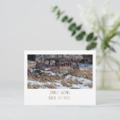 Endlich zurück zu Ihnen - Rusty Car Foto Postkarte (Stehend Vorderseite)