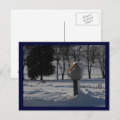 Endlicher Frieden Postkarte (Vorne/Hinten)