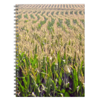 Endlose Reihen von Maisspiralen-Notebook Notizblock