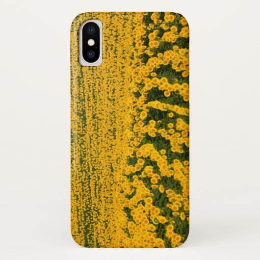 Endlose Sonnenblumen Case-Mate iPhone Hülle (Rückseite)
