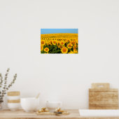 Endlose Sonnenblumen Poster (Küche)