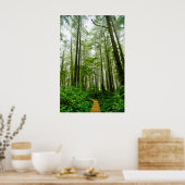 Endlose Wege, Bäume und Geschichten im Regenwald Poster (Küche)