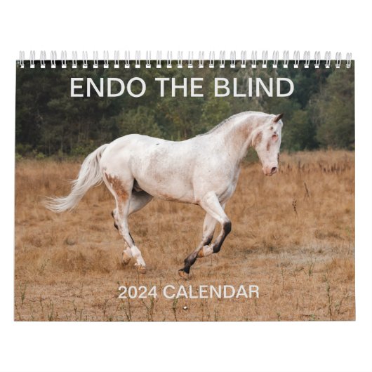 ENDO THE BLIND - 2024 Calendar Kalender (Titelbild)