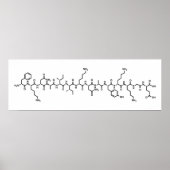 Endorphon-chemische Formel Symbol Wissenschaft Poster (Vorne)