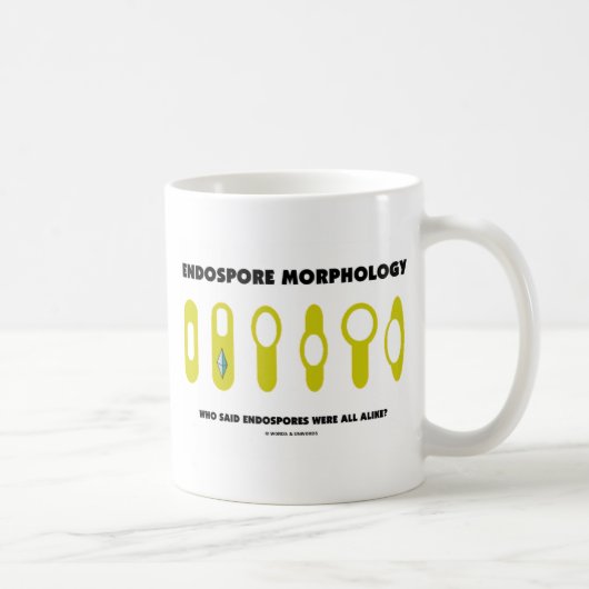 Endospore Morphologie - wer sagte waren ganz Kaffeetasse (Rechts)