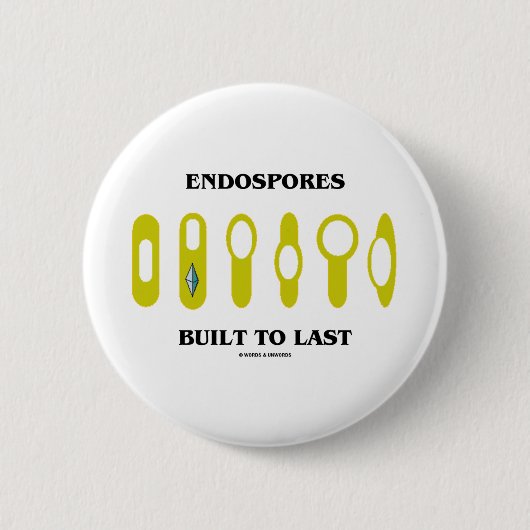 Endospores errichtete zum Letzten (bakterielle Button (Vorderseite)
