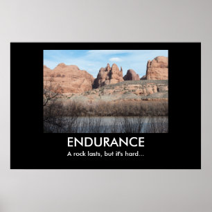 ENDURANCE Demotivationspaket Poster