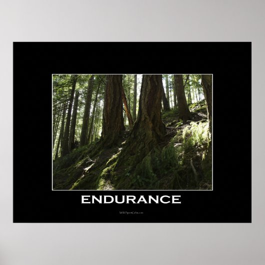 ENDURANCE Forest Motivierend Foto drucken Poster (Vorne)