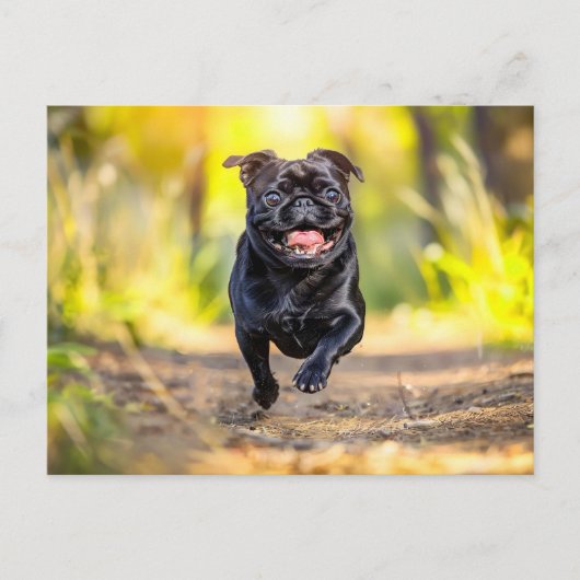 Energetic Pug Running Through Forest Postkarte (Vorderseite)