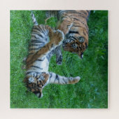 Energetische Tiger Cubs Puzzle (Horizontal)