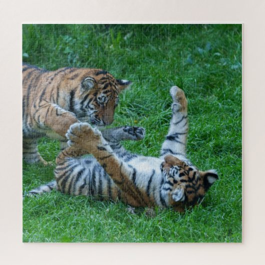Energetische Tiger Cubs Puzzle (Vertikal)