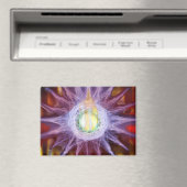 Energie des Sternenmagneten Magnet (In Situ (Geschirrspüler))