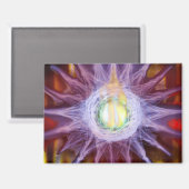 Energie des Sternenmagneten Magnet (Vorderseite/Rückseite)