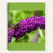 Energiedokument Notizblock (Vorderseite)