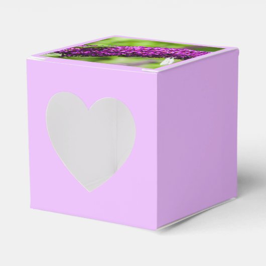 Energiehilfekasten Geschenkschachtel (Vorderseite)