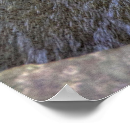 Enfield Glen, Robert H Treman Staat Park, NY Poster (Ecke)