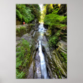 Enfield Glen, Robert Treman Staat Park, New York Poster (Vorne)