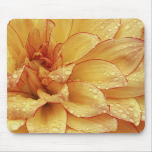 Eng in Fotografien der Dalhia-Blume mit der 2 Mousepad