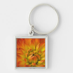 Eng in Fotografien der Dalhia-Blume mit der Schlüsselanhänger