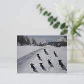 Engadin Dackel März Postkarte (Stehend Vorderseite)