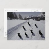 Engadin Dackel März Postkarte (Vorne/Hinten)