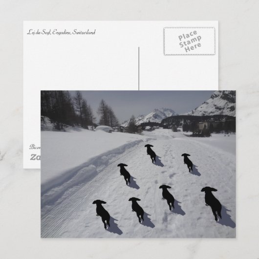 Engadin Dackel März Postkarte (Vorne/Hinten)