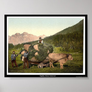 Engadin, Graubünden, Schweiz Poster