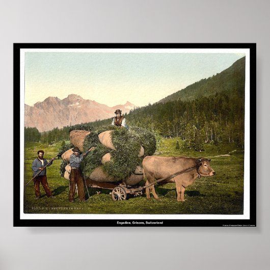 Engadin, Graubünden, Schweiz Poster (Vorne)