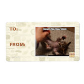 Engage den winzigen Angriffsmodus! (Vorne)